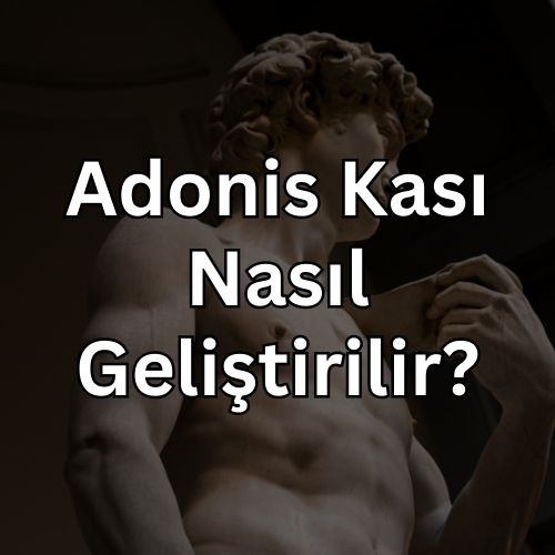 Adonis Kası Nasıl Geliştirilir? Adonis Kası için Egzersiz, Hareketler ve Yapılması Gerekenler