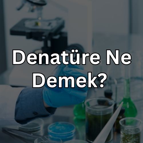 Denatüre Ne Demek? Anlamı Nedir?