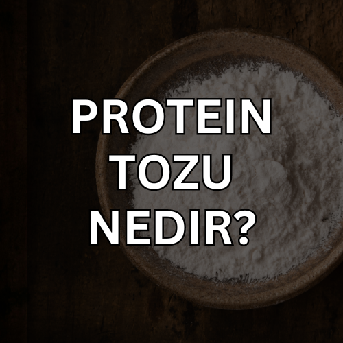 Protein Tozu Nedir ve Ne Işe Yarar? – HIQ Nutrition