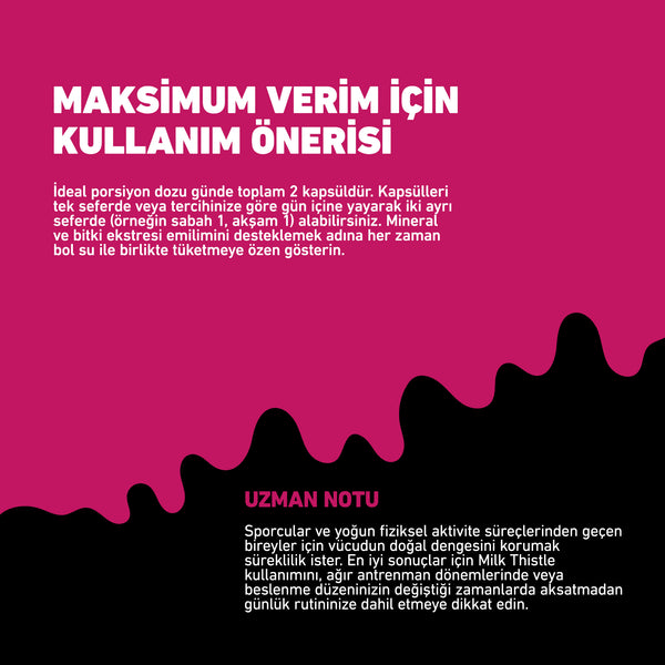 HIQ Milk Thistle 60 Kapsül