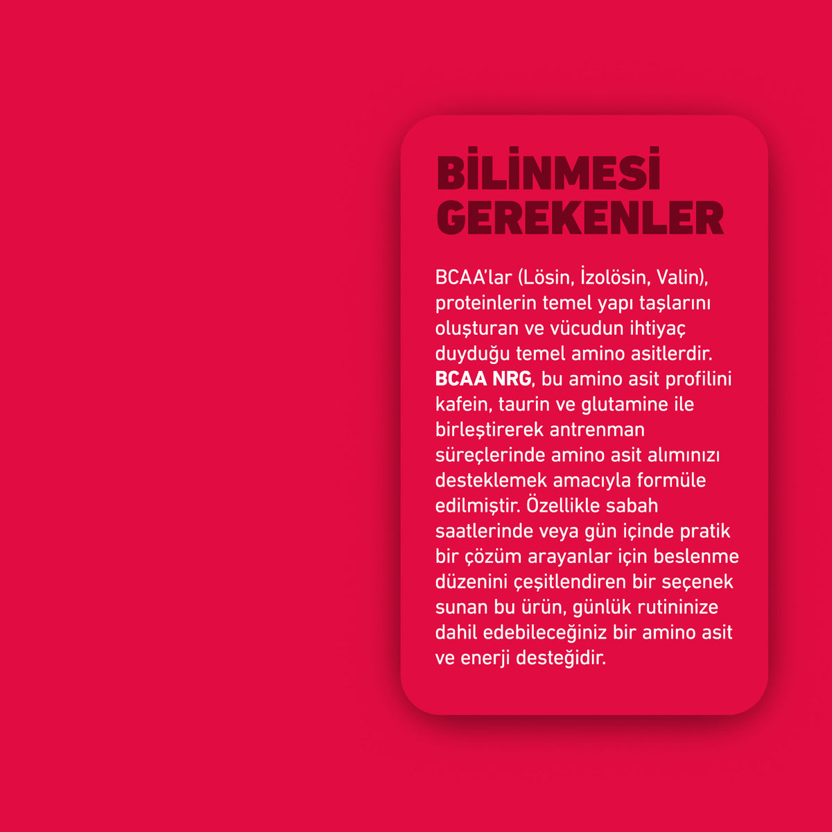 HIQ Bcaa Nrg 390g